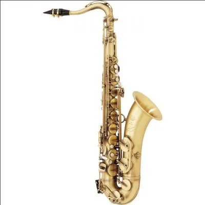 Le jazz, musique créée par la communauté noire des États-Unis, est souvent jouée avec un saxophone.
Cet instrument a été inventé par Adolphe Sax, qui est né et a vécu en...