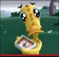 Quel animal est Coin-Coin ?