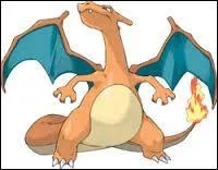 Quel est le nom de ce Pokémon ?