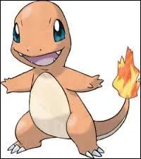 Quel est le nom de ce Pokémon ?