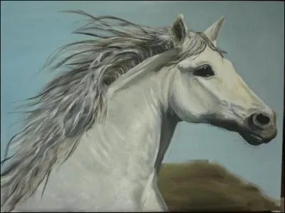 A qui appartient "Rossinante" ?