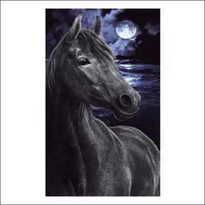 Qui chantait "Je vais m'éclater au Sénégal, je vais m'faire des tas de copines de cheval, et j'irai prendre un bain de minuit à poil sous la lune" ?