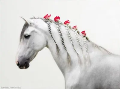 Qui a écrit "Le cheval pâle" ?