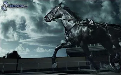 Qui chantait "Quand tu l'as vu porté en terre, son cheval noir marchant devant, tu as soudain compris mon frère, qu'il était plus qu'un président...."