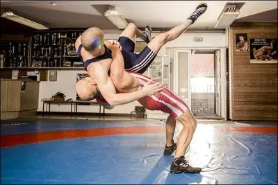 Combien de styles de lutte existe-t-il ?