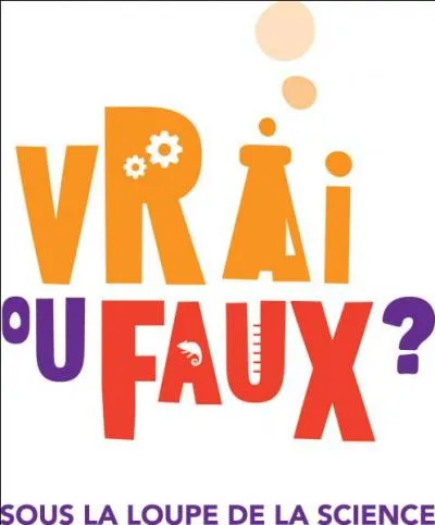 Le premier jeu vidéo s'appelait "Ping" et permettait de jouer au ping-pong avec deux rectangles blancs.