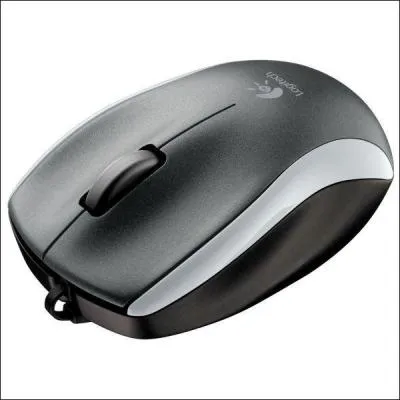 Petit rongeur, amateur de graines variées !