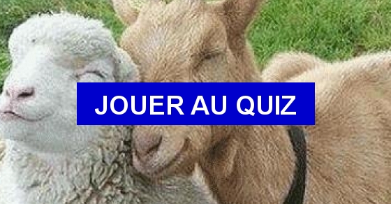 Quiz Vrai-faux 13 : les animaux - Photos