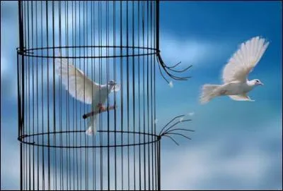 Qui chantait "Ouvrez, ouvrez la cage aux oiseaux" ?