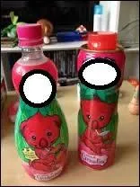 Apparue en 1990, cette marque de sirop va connaître un important succès avant de disparaître en 1995 par le rachat du groupe Teisseire, il s'agit de...