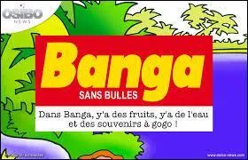 Quel était la mascotte de la marque de boisson à l'orange "Banga" ?