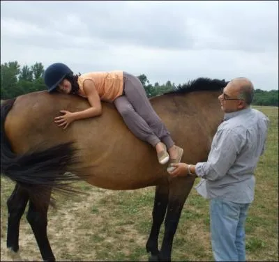 Après un long déclin, le cheval de trait retrouve ses lettres de noblesse. Dans quels domaines ?