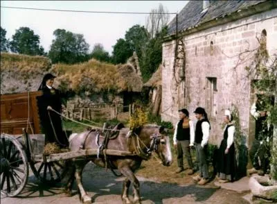 Qui est l'auteur de ce livre, "le cheval d'orgueil" ?