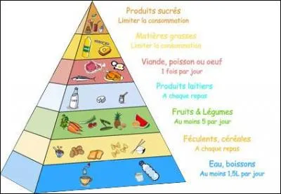 Dans quelles proportions peut-on consommer de la viande ?
