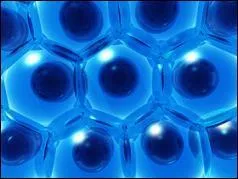 Cette image représente...