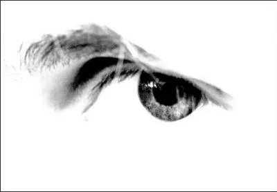 Qu'est-ce que le high key ?