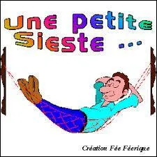 Une sieste favorise nos capacités cérébrales.