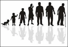 L'âge de Marcel est égal au double du quart de l'âge de Philippe, quel est l'âge de Marcel ?