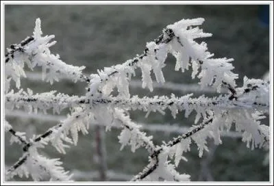 A quel moment de la journée peut-on voir de la gelée blanche ?
