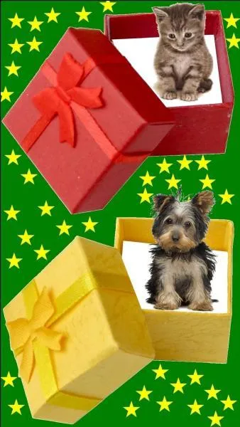 Quelle est la couleur du cadeau pour la petite Line Renaud ?