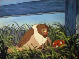 Qui est donc cette chouette ?