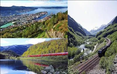 Ce train est celui qui détient le record de la plus forte dénivellation du monde. En plus, il passe sur le plus haut plateau d'Europe.
Un conseil, en hiver, faites attention de choisir un train qui circule de jour, pour admirer le paysage magnifique de ce pays, la nuit tombe tôt ! 
Quels sont les terminus de cette ligne ?