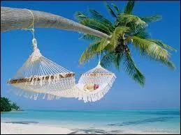 Le poème « Le Voyage » est le ... du récueil « Les Fleurs du mal ».