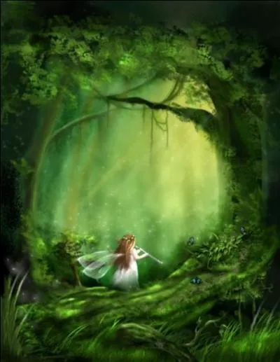 Qui appelait-on la fée verte ?