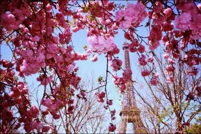 Qui chante "La vie en rose" ?