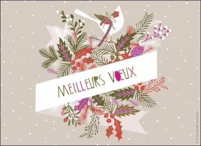 A quelle occasion souhaite-t-on "Meilleurs vux, plein de bonheur ! " ?