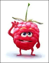 Quel dessert accompagne très souvent mon coulis ?