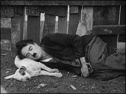 « Une vie de chien » - À la fin du film, où Charlot s'installe-t-il ?