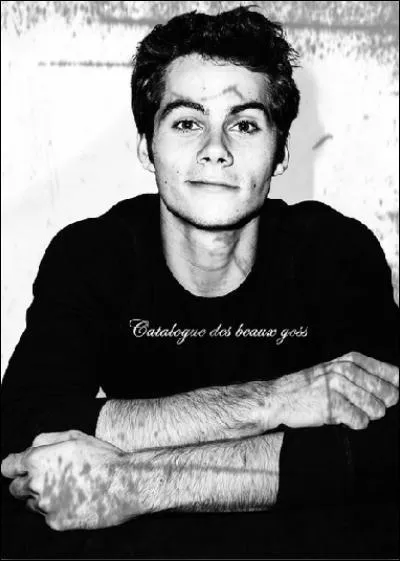 Il joue le rôle de Stiles Stilinski, le fils du shérif et le meilleur ami de Scott qui était, à la saison 3, un nogitsune.