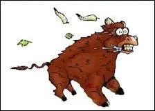 Lorsque le vent souffle très fort, une expression cite que c'est "un vent à décorner les ..."