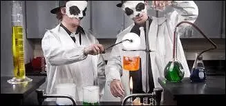 Combien de membres le groupe « The White Panda » compte-t-il ?