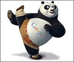 Quand la première version de l'algorithme Google Panda est-elle parue ?