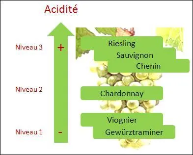 Quel cépage blanc n'est pas utilisé pour les Bordeaux ?