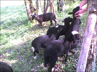 Mentalement, posez bien le problème.