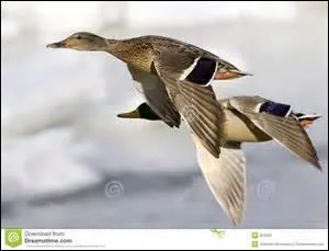Vous ne vous intéressez pas aux variations de la bourse, par exemple, ça ou autre chose par ailleurs, quelle différence !