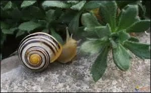 Il convient de faire comme lui pour profiter du paysage.