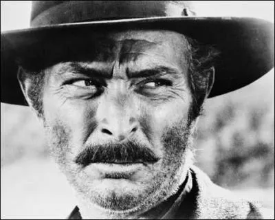 Suit "Pale raider" (1985), une histoire de chercheurs d'or et de ... Bible ! Quel célèbre acteur de western et ancien partenaire devait en être le héros ?