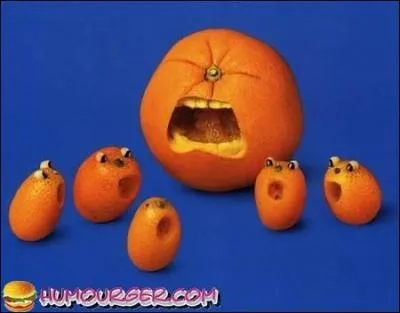 L'orange est un fruit appartenant à quelle famille ?