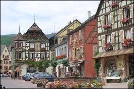 Je vous emmène à la découverte de Kaysersberg. Ville natale d'Albert Schweitzer connue pour son marché de Noël, elle se situe dans le département ...