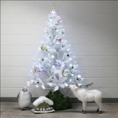 De quelle couleur est le sapin blanc ?