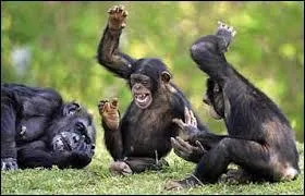 Quel médecin a développé le yoga du rire ?