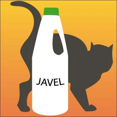 Le chat est attiré par l'odeur de l'eau de Javel !