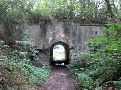 Quel fut le premier fort qui capitula le 8 août 1914 ?