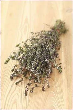 "Sarriette". N'assaisonnez pas vos mets avec la sarriette qui a perdu la lettre suivante...