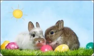 Quand a lieu cette fête ?