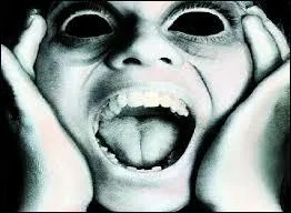 Quel est le titre originel du film « Peur noire » ?